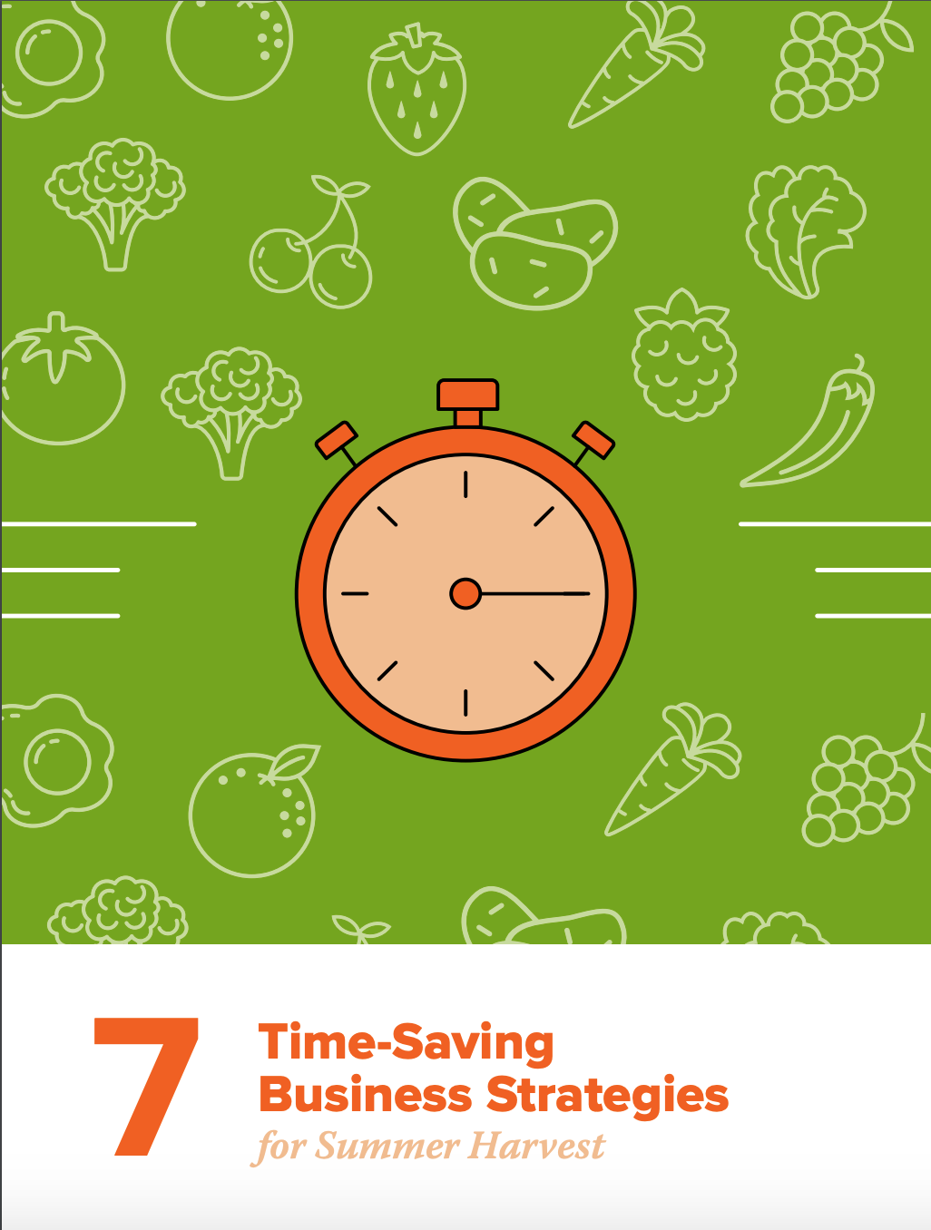 Summer Strategies eBook cover.png