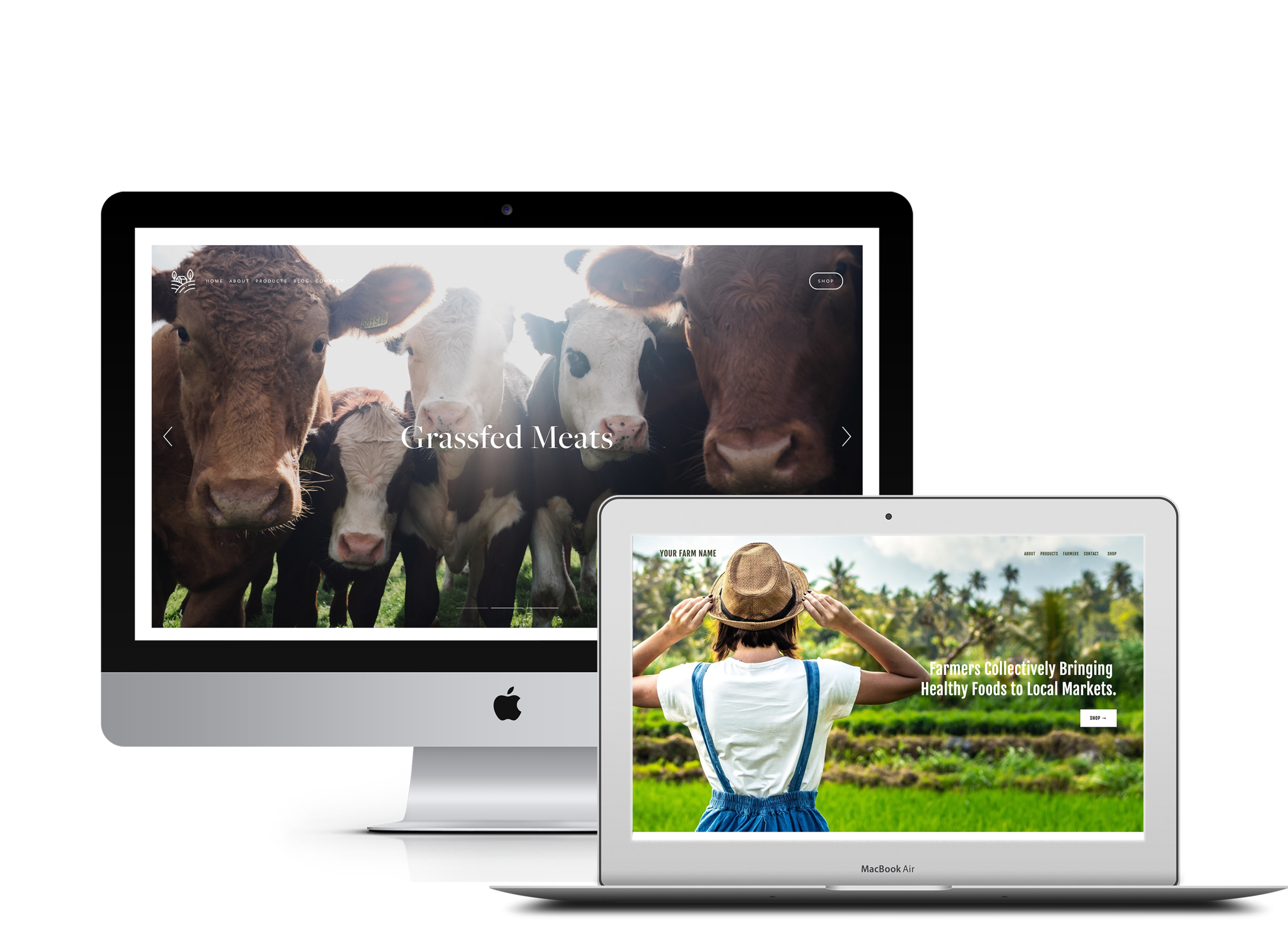 Website examples.png