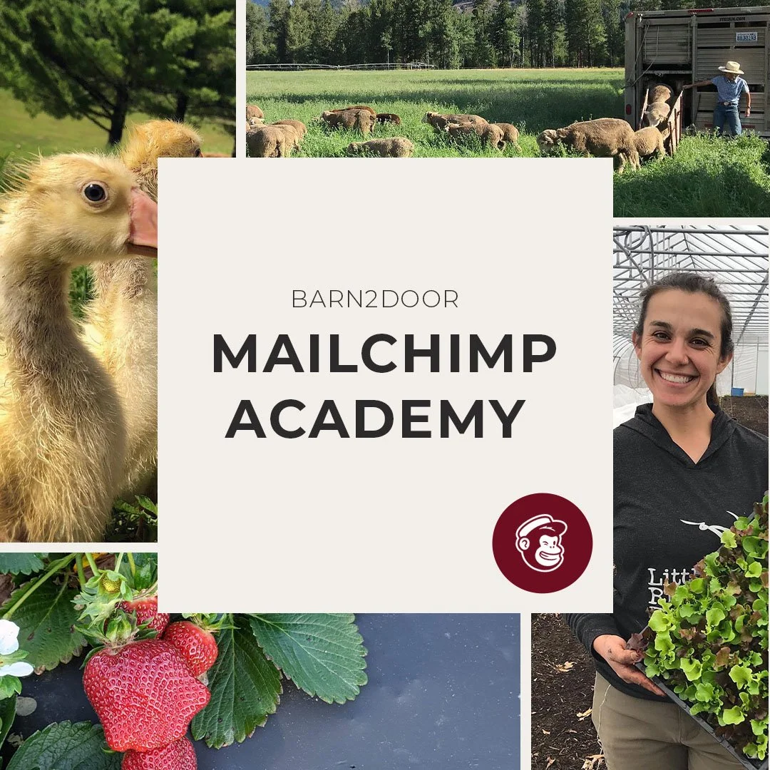 Mailchimp Academy