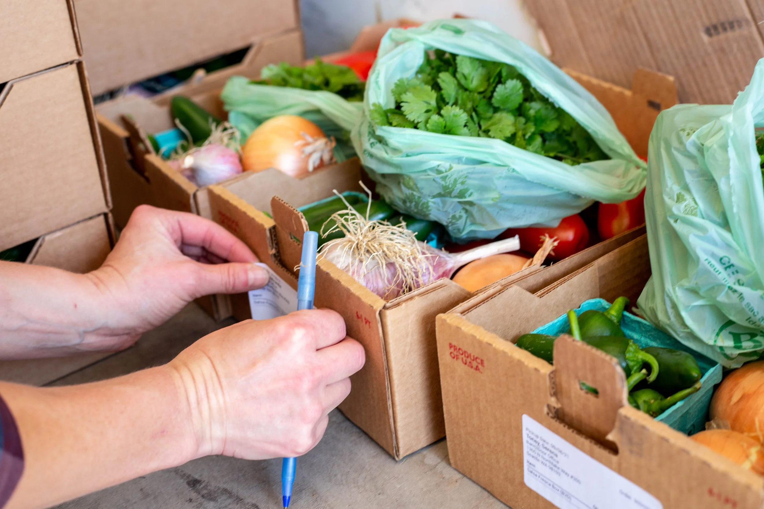 boxes of farm fresh produce including onions and peppers