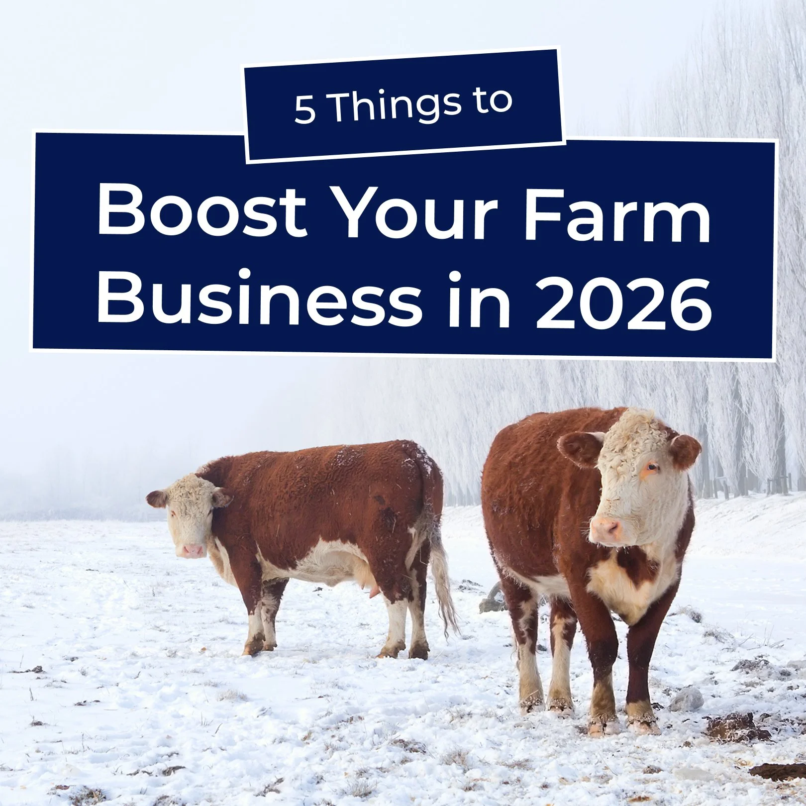 5 Things to Boost Your Farm Business in 2026