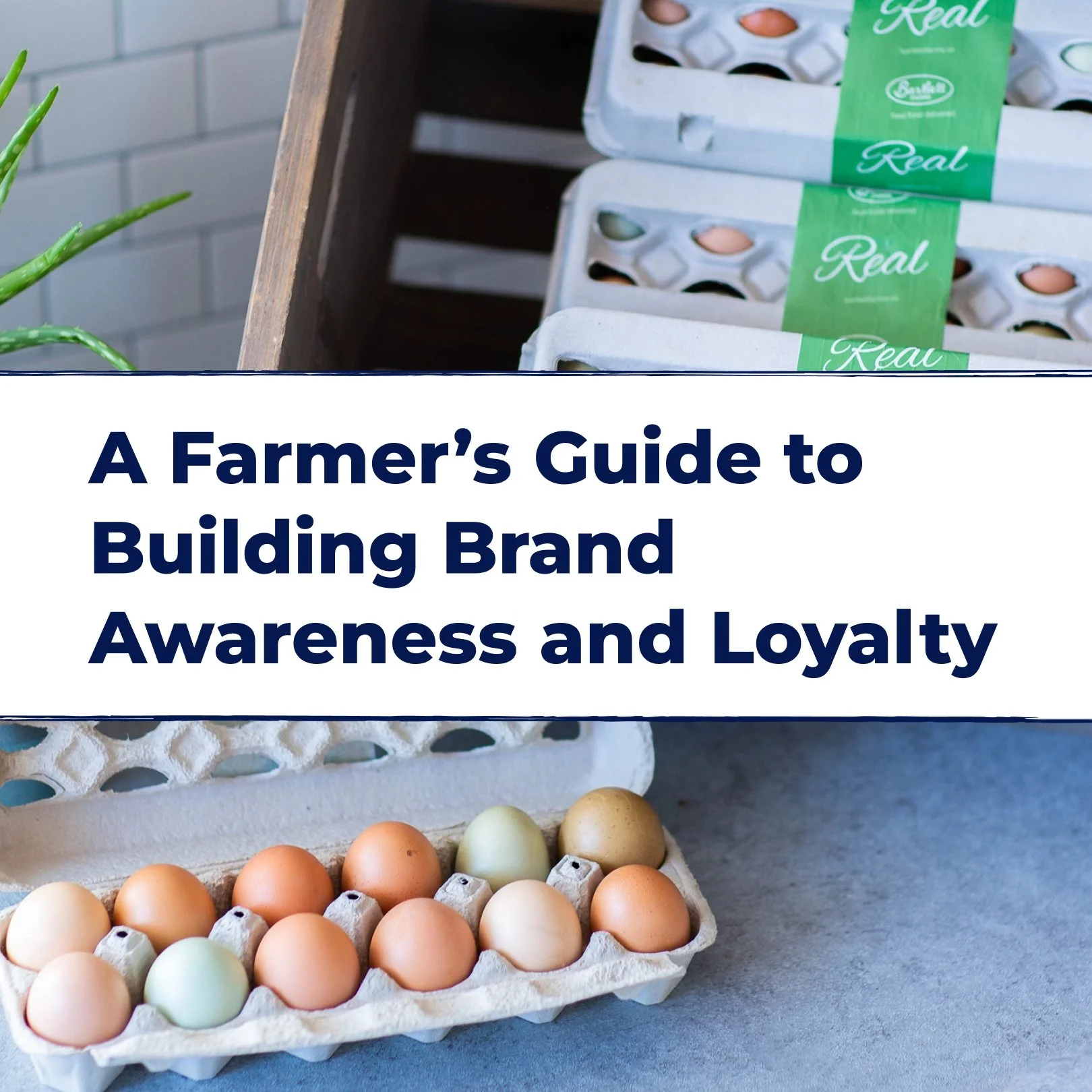 A Farmer’s Guide to Building Brand Awareness and Loyalty
