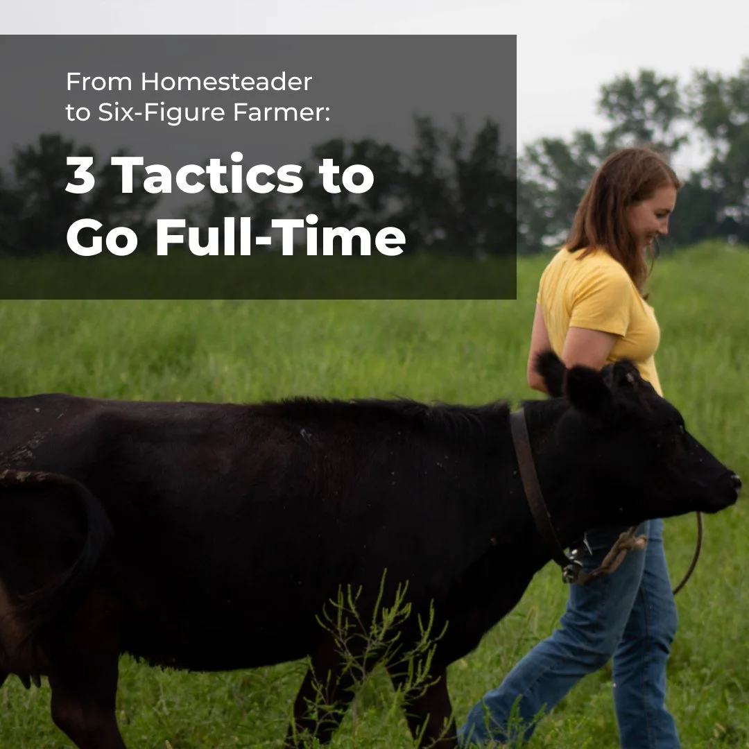 From Homesteader to Six-Figure Farmer: 3 Tactics to Go Full-Time