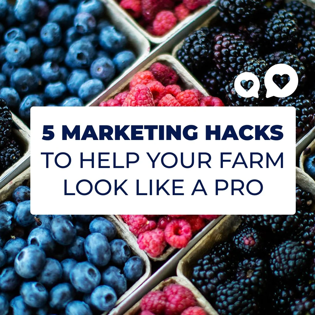 5 Marketing Hacks to Help Your Farm Look Like a Pro