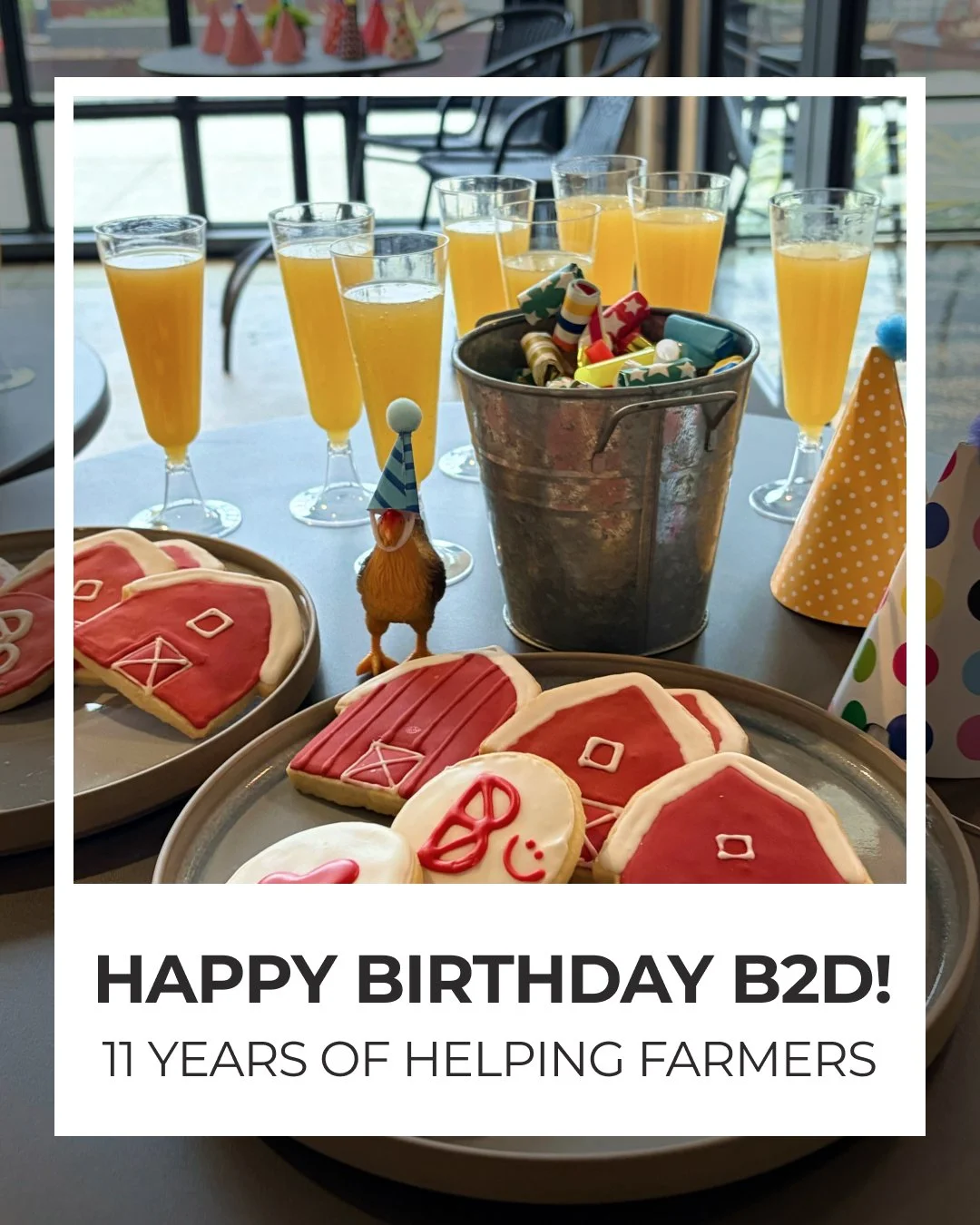 Happy 11 Year Anniversary Barn2Door! It has and continues to be an incredible journey. We work with AMAZING Farmers across the country. Every day we get to think about and build software so Farmers can Make More Money, Ditch the Office Work and Look 