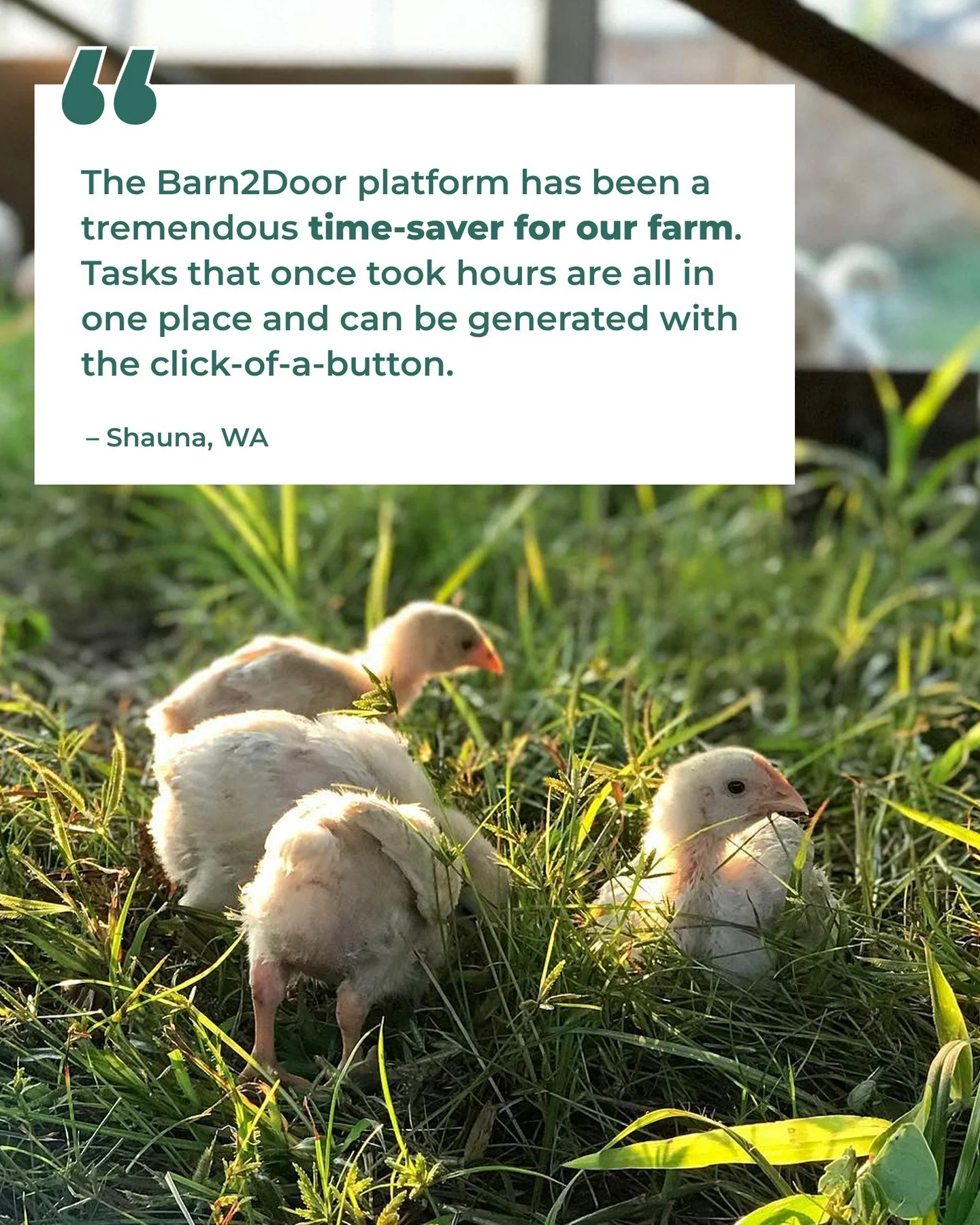 Happy Daylight Savings! Does it feel like gaining an hour or losing an hour? We love love love helping Farmers get hours and hours back, week over week. (To learn more about Barn2Door see link in bio). Happy Spring!