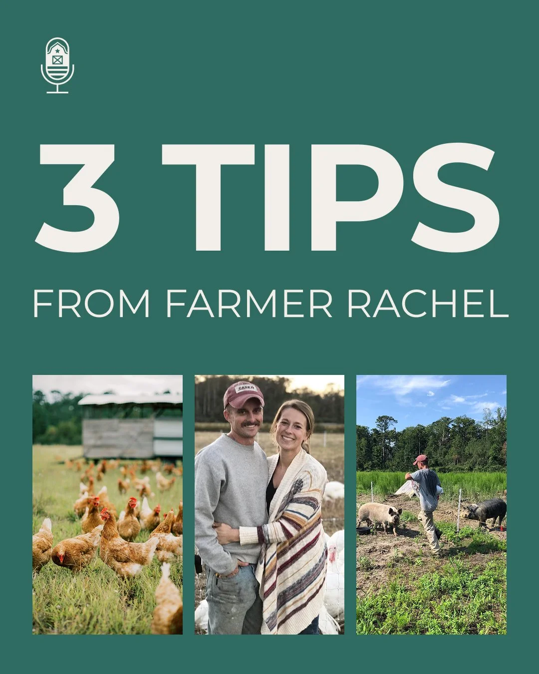 Rachel from @shenkfamilyfarm breaks down pricing from general Farm costs to each enterprise, with nitty gritty details on costing out everything from poultry to beef. Listen to her hard-learned wisdom on everything from when to raise prices, to addin