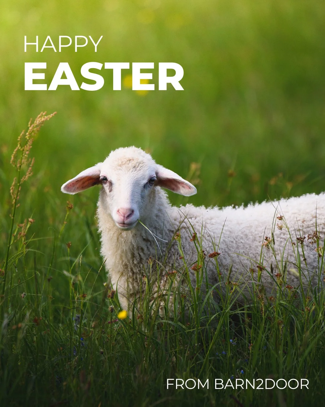 Happy Easter from the Barn2Door Team! He has Risen!