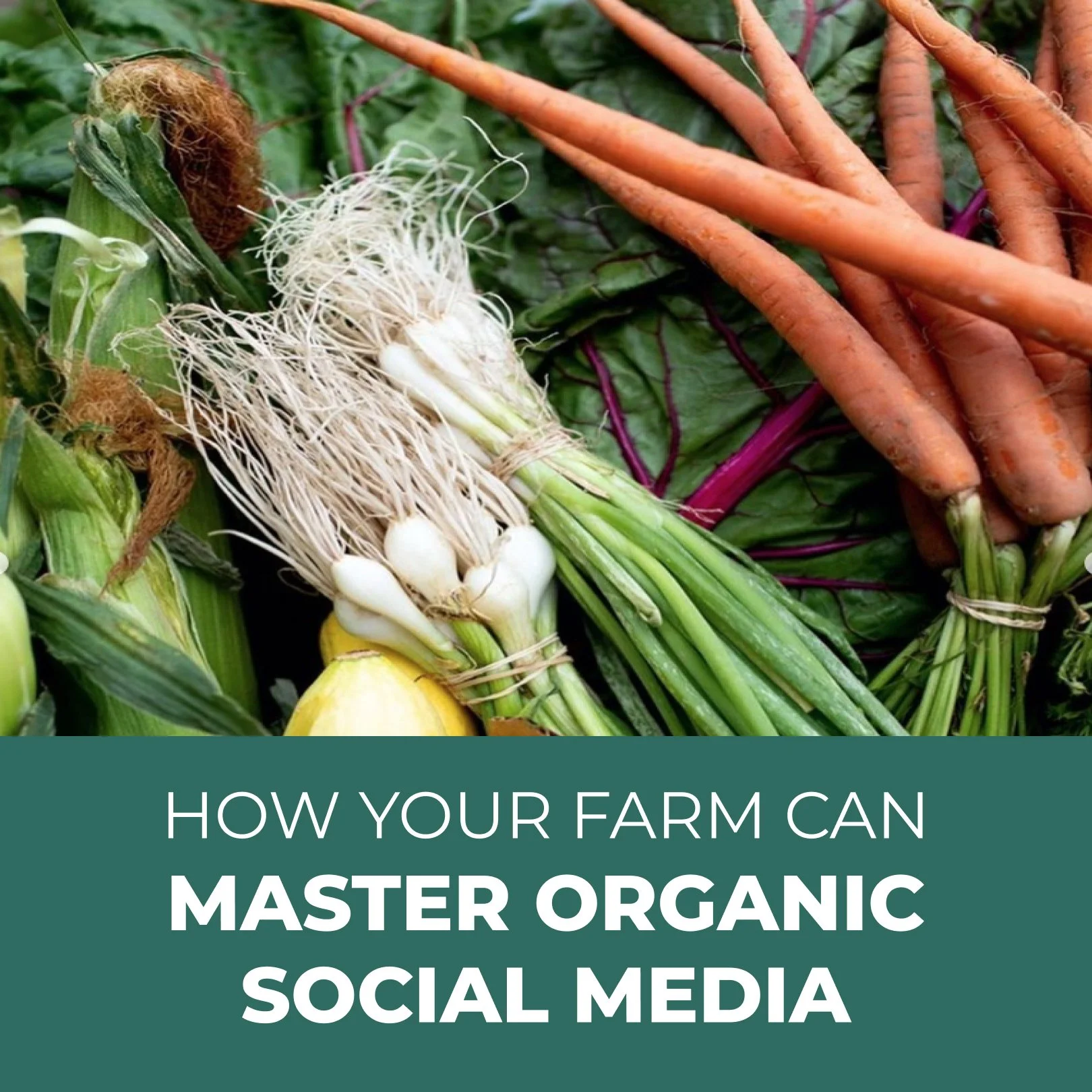 How Your Farm Can Master Organic Social Media