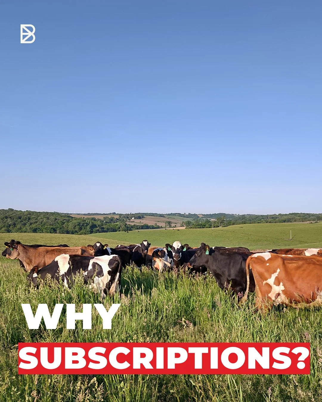 Offering Buyer Subscriptions to Farm Products is one of the TOP pieces of advice from our FANs (Farm Advisory Network). Subscriptions = consistent cash-in-hand for your Farm, easier up front planning and a way to moooo-ve a range of farm products. In