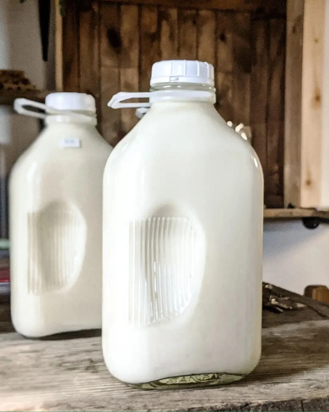 Are you building a dairy operation? READ THIS BLOG! It is the 101 post on building a 6-figure plus dairy farm. This read unpacks everything from milk production to customer targeting, to setting up eCommerce, to automating orders and inventory manage