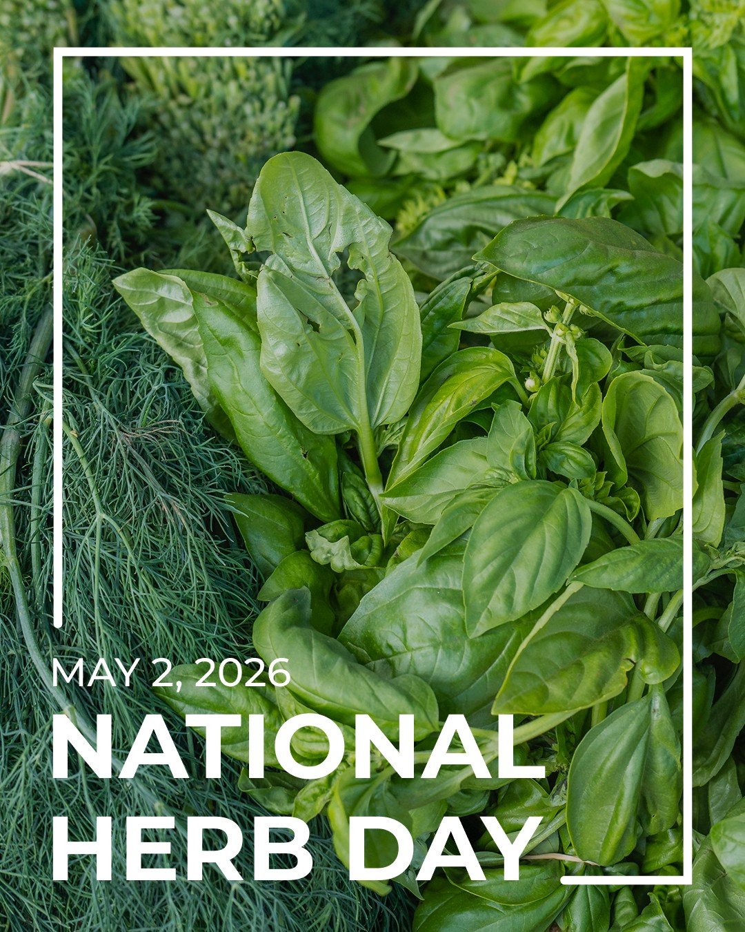 FREE MARKETING TIP. Sometimes a &lsquo;national [ insert food ] day&rsquo; is a great excuse for a social post. (When we create our Monthly Marketing Toolkit for Farmers to use, we often provide food-related &lsquo;holiday&rsquo; graphics and content