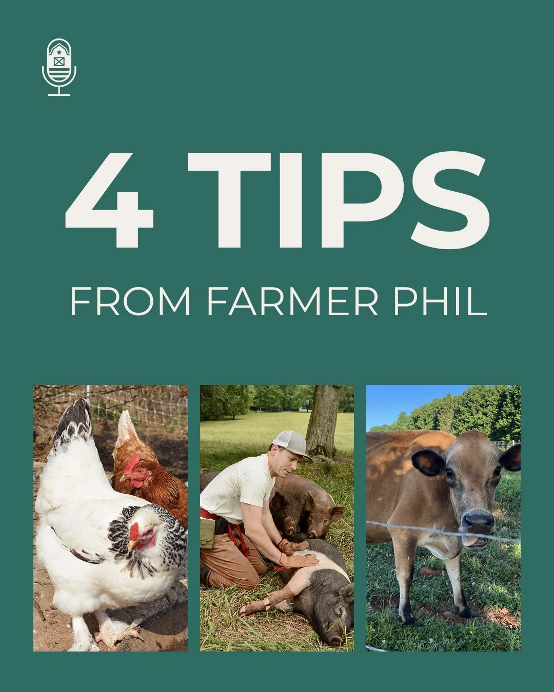 If you are a Farmer selling food, you are officially a business. Running a business well will keep you farming. Listen to this recent podcast w/ Phil who went from part-time to full-time to hiring a team to keep up with his scaling Farm. 

What would