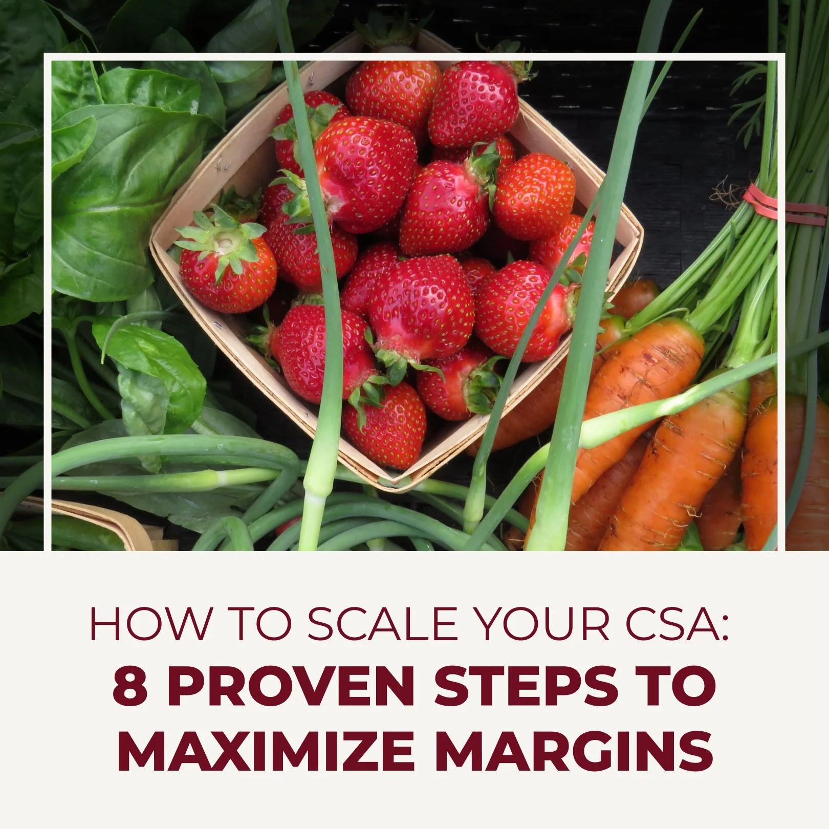 How to Scale Your CSA: 8 Proven Steps to Maximize Margins