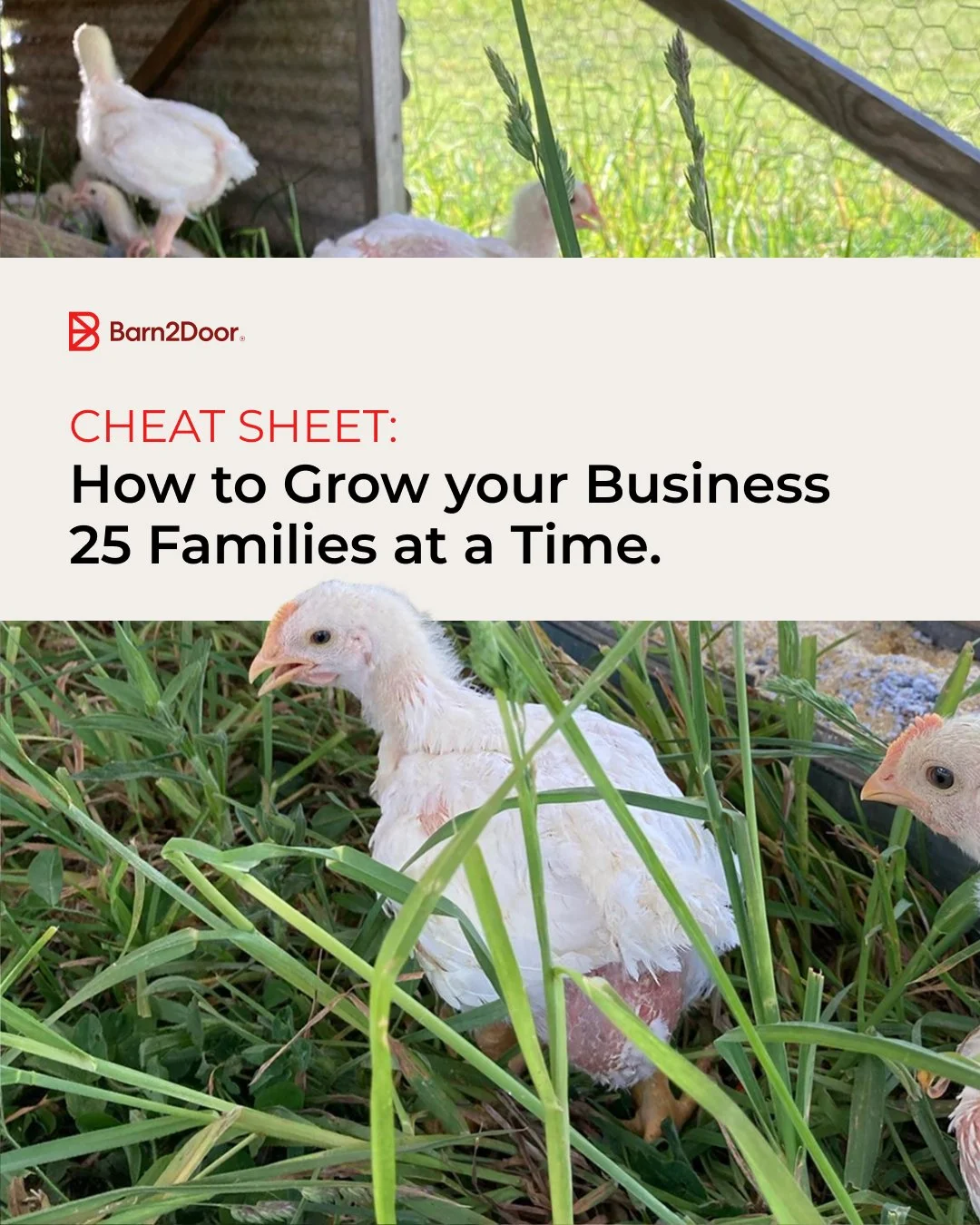 One of our fave Farmers always says, "Run it by the numbers!" Here&rsquo;s a cheat sheet on growing your business 25 families ($75k!) at a time. (link in bio)

#B2D #independentfarmer