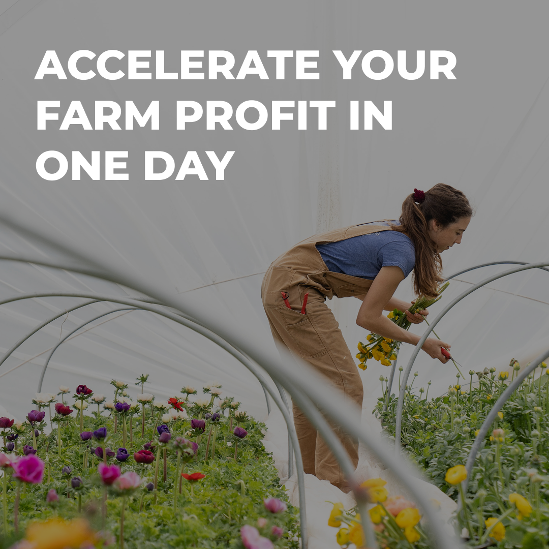 Accelerate Your Farm Profit in One Day