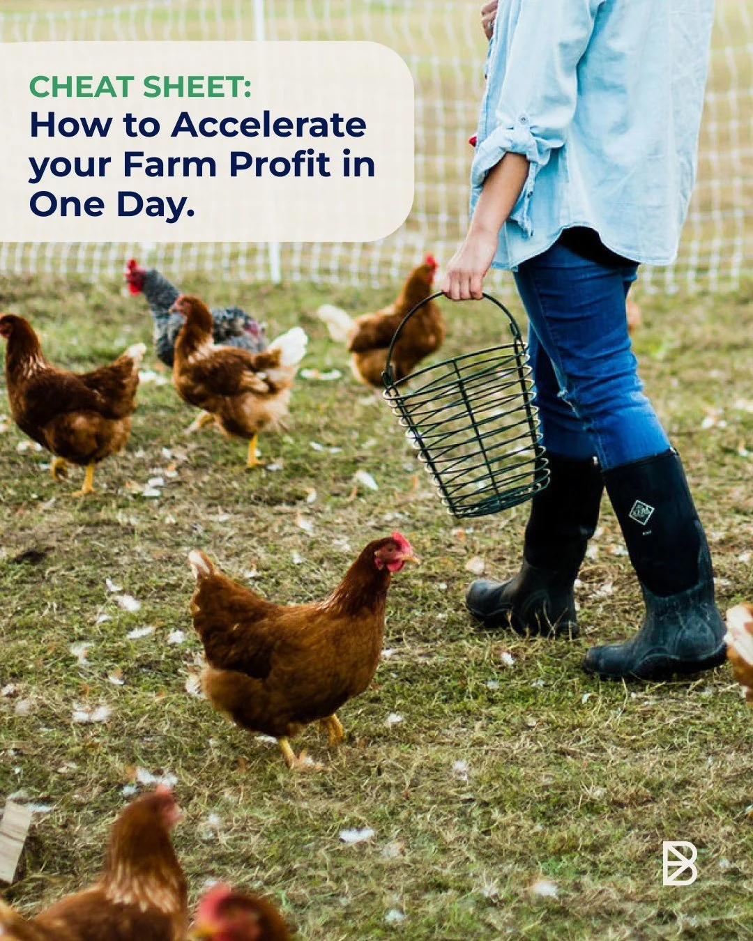 Want to increase your Farm profit in just one day? Small changes create big results when you know where to focus. Go to link in our bio to learn more &rarr;

#farmbusiness #farmprofit #directtoconsumerfarming