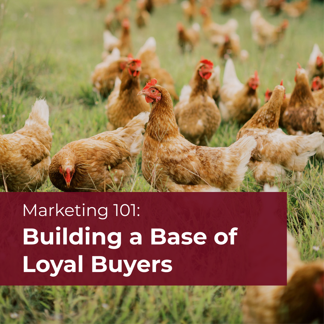 Marketing 101: Building a Base of Loyal Buyers