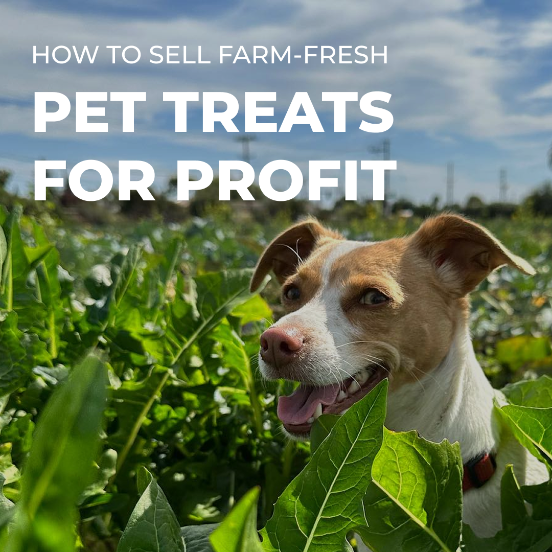How to Sell Farm-Fresh Pet Treats for Profit