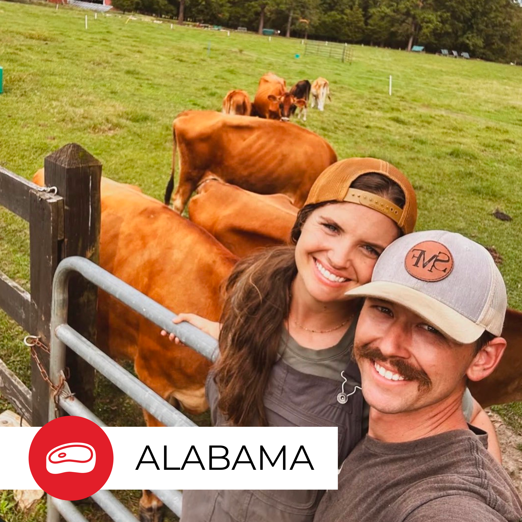 Farmer Spotlight: Homesteading to Thriving Protein Operation - Sweet Magnolia Farms