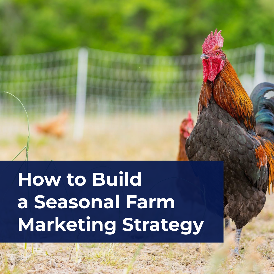 How to Build a Seasonal Farm Marketing Strategy