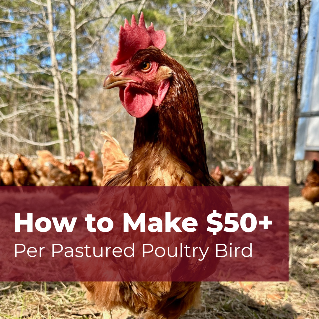 How to Make $50+ Per Pastured Poultry Bird