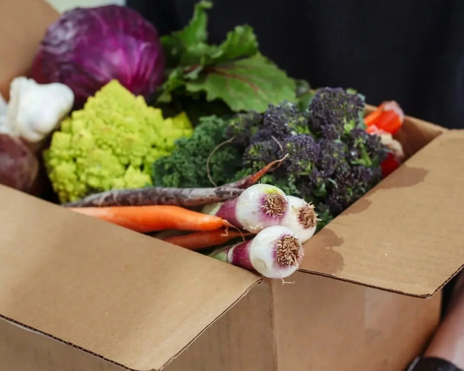 A Farmer’s Guide to Get Started with Delivery — BARN2DOOR