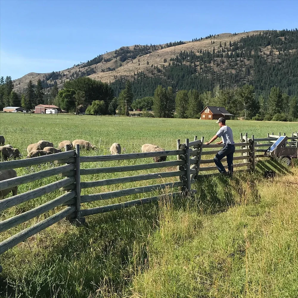 Farmer Spotlight: BCS Livestock — BARN2DOOR