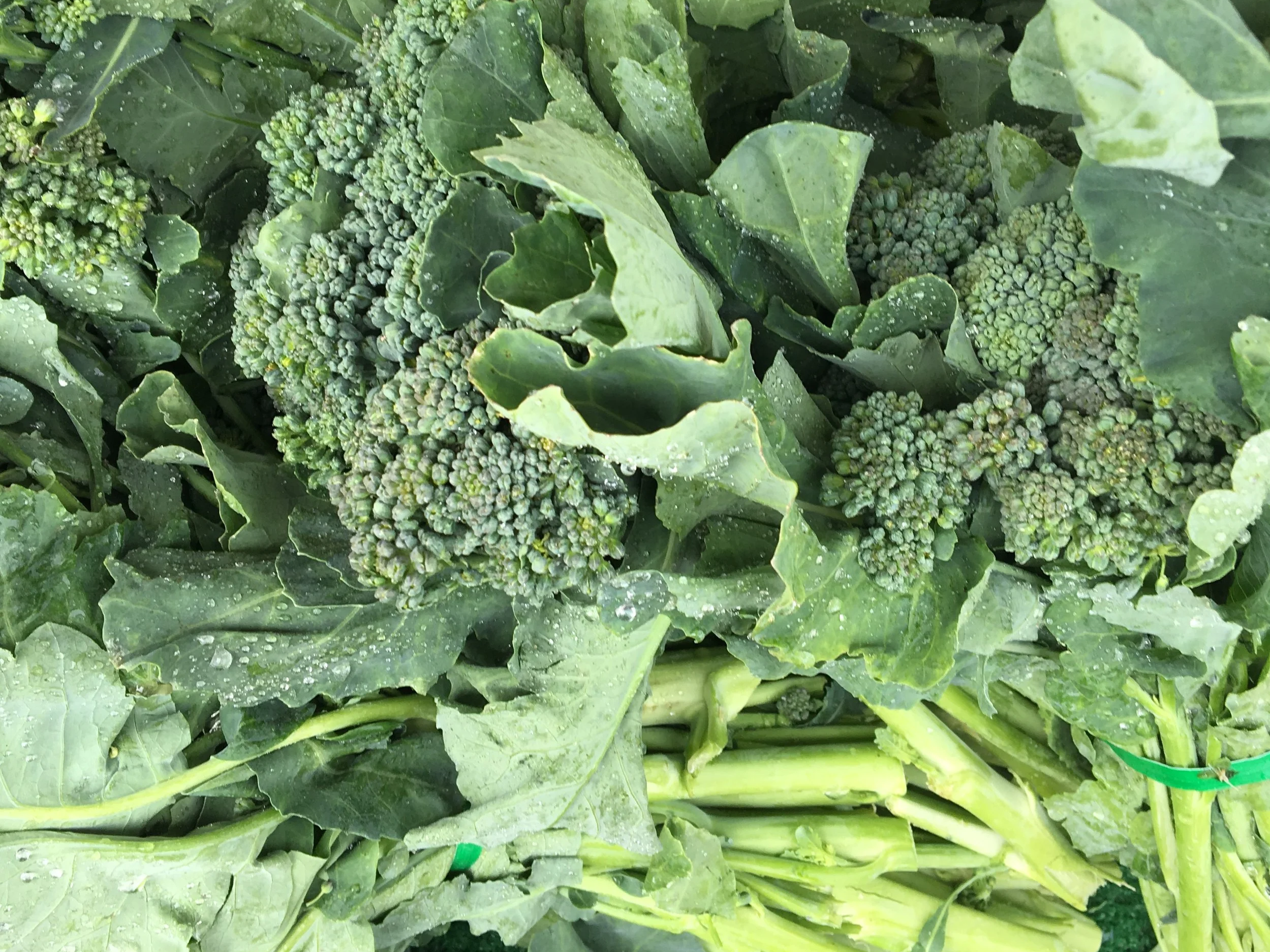 Close up leafy greens and broccoli