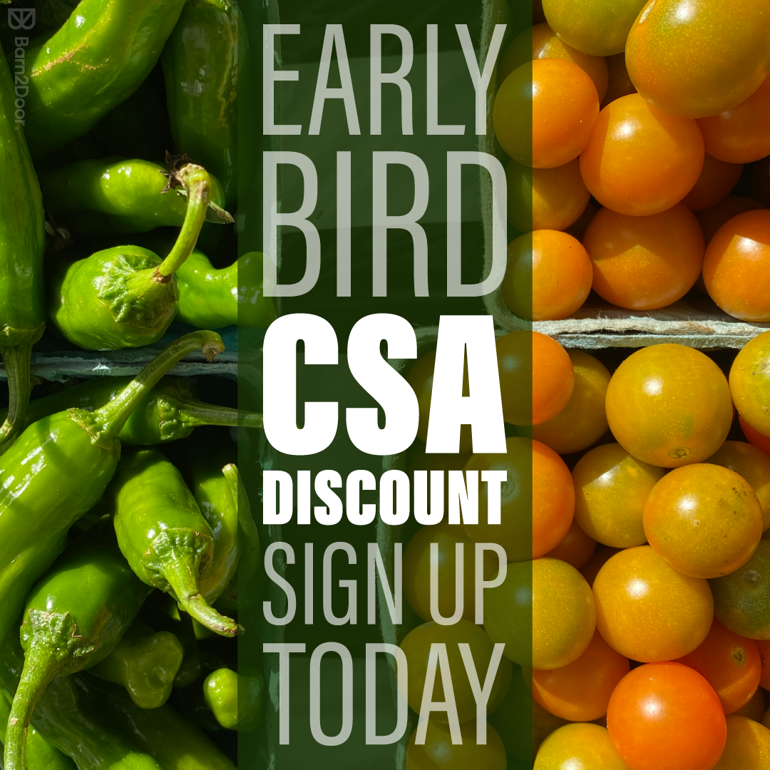 A promotional graphic for a "Early Bird CSA Discount." The text "Sign up today" is centered over a vertical split-screen image of vibrant green shishito peppers on the left and bright orange cherry tomatoes on the right.