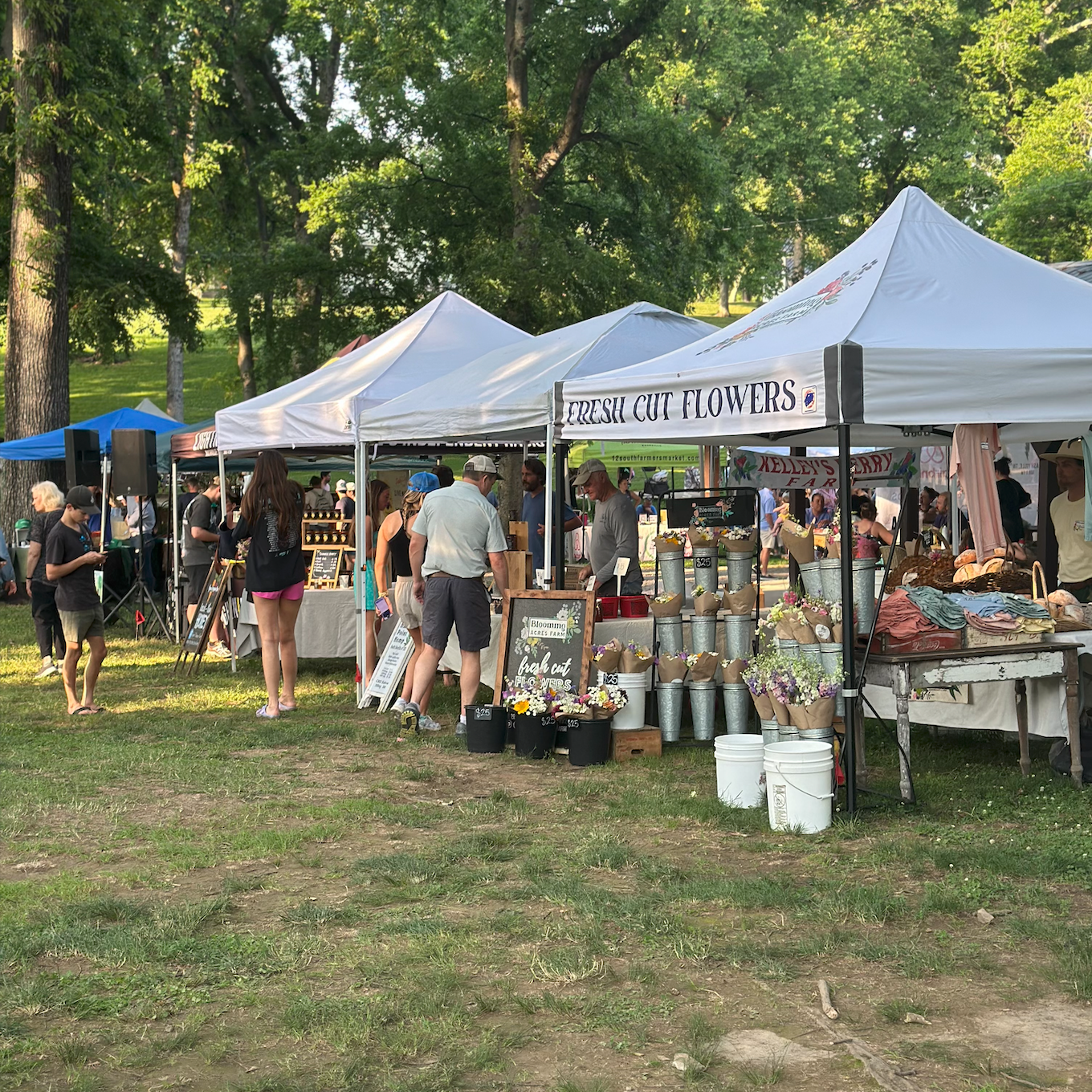 A wide outdoor shot of a farmers' market located in a grassy park with tall trees. Several white pop-up tents are lined up, with one prominently displaying "Fresh Cut Flowers" and buckets of colorful blooms.