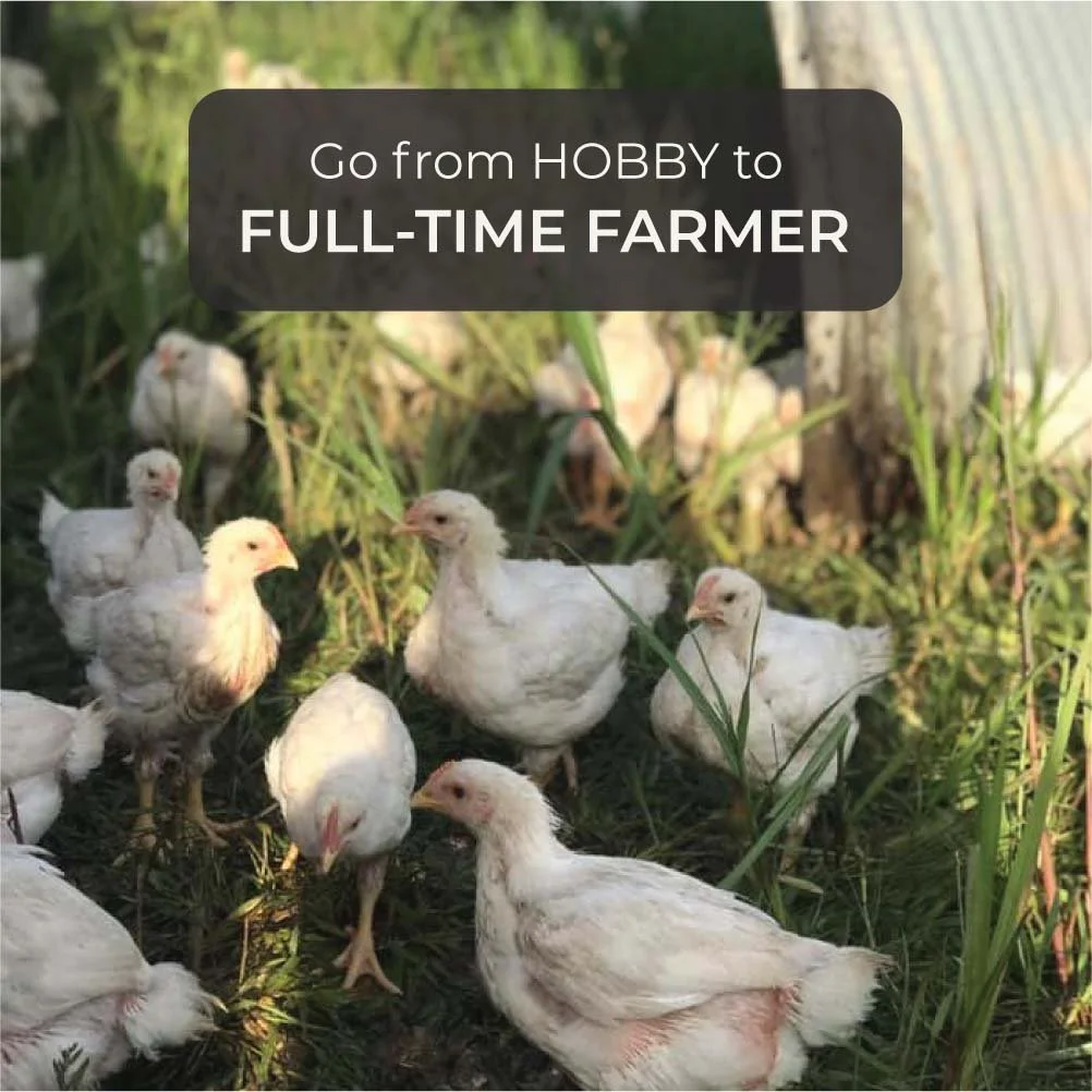 Top 5 Blogs for a New Farm Business — BARN2DOOR