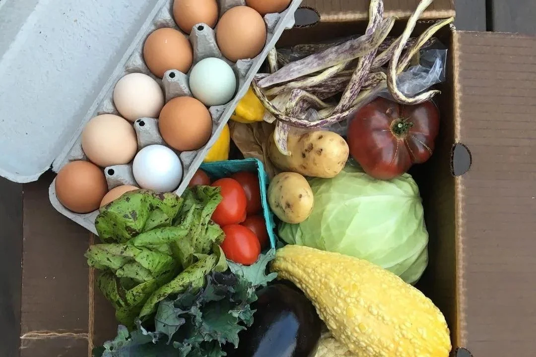 A box full of eggs and farm fresh produce