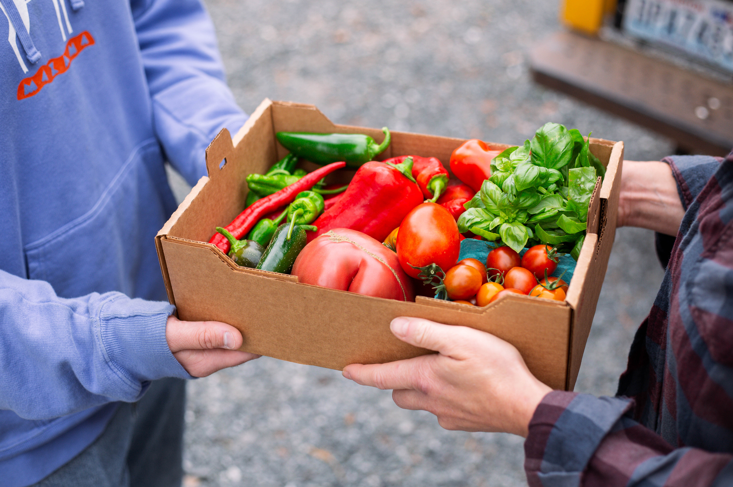 Farm fresh products being delivered to a customer
