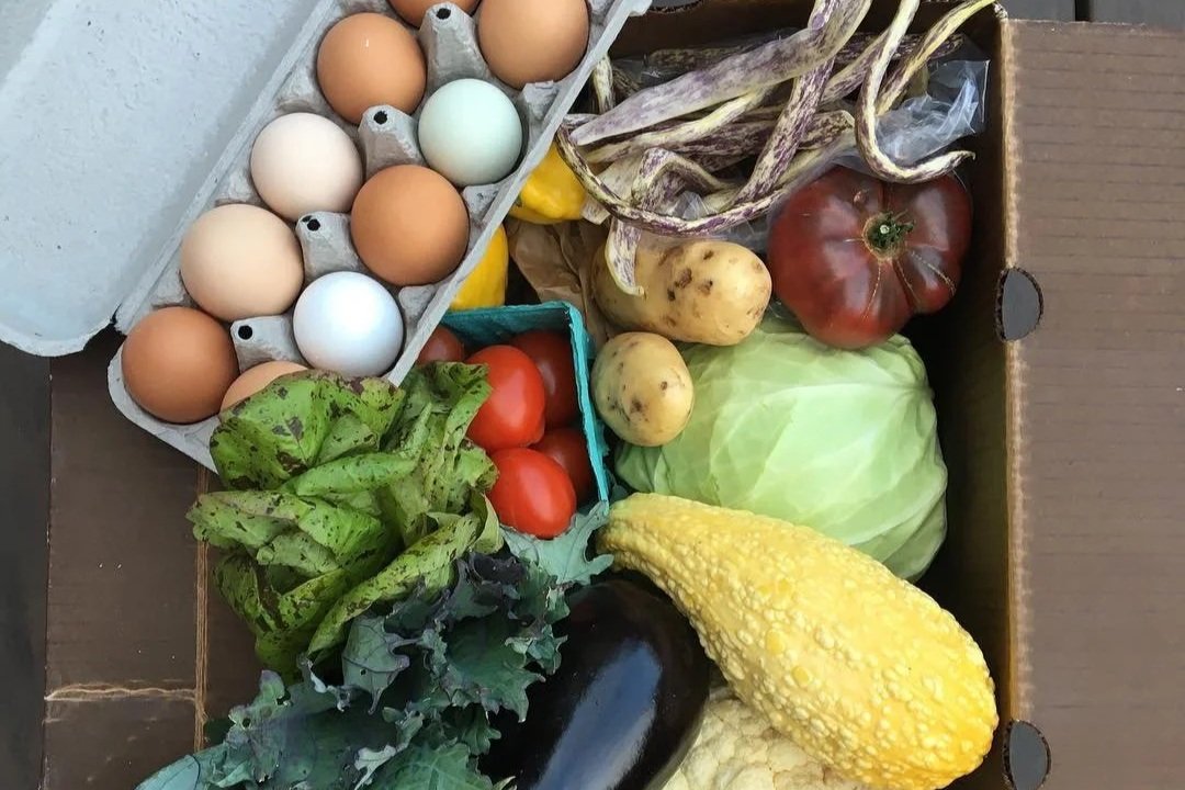 A top-down view of a cardboard box overflowing with fresh farm produce like cabbage, squash, and eggplant, alongside a carton of multi-colored eggs.