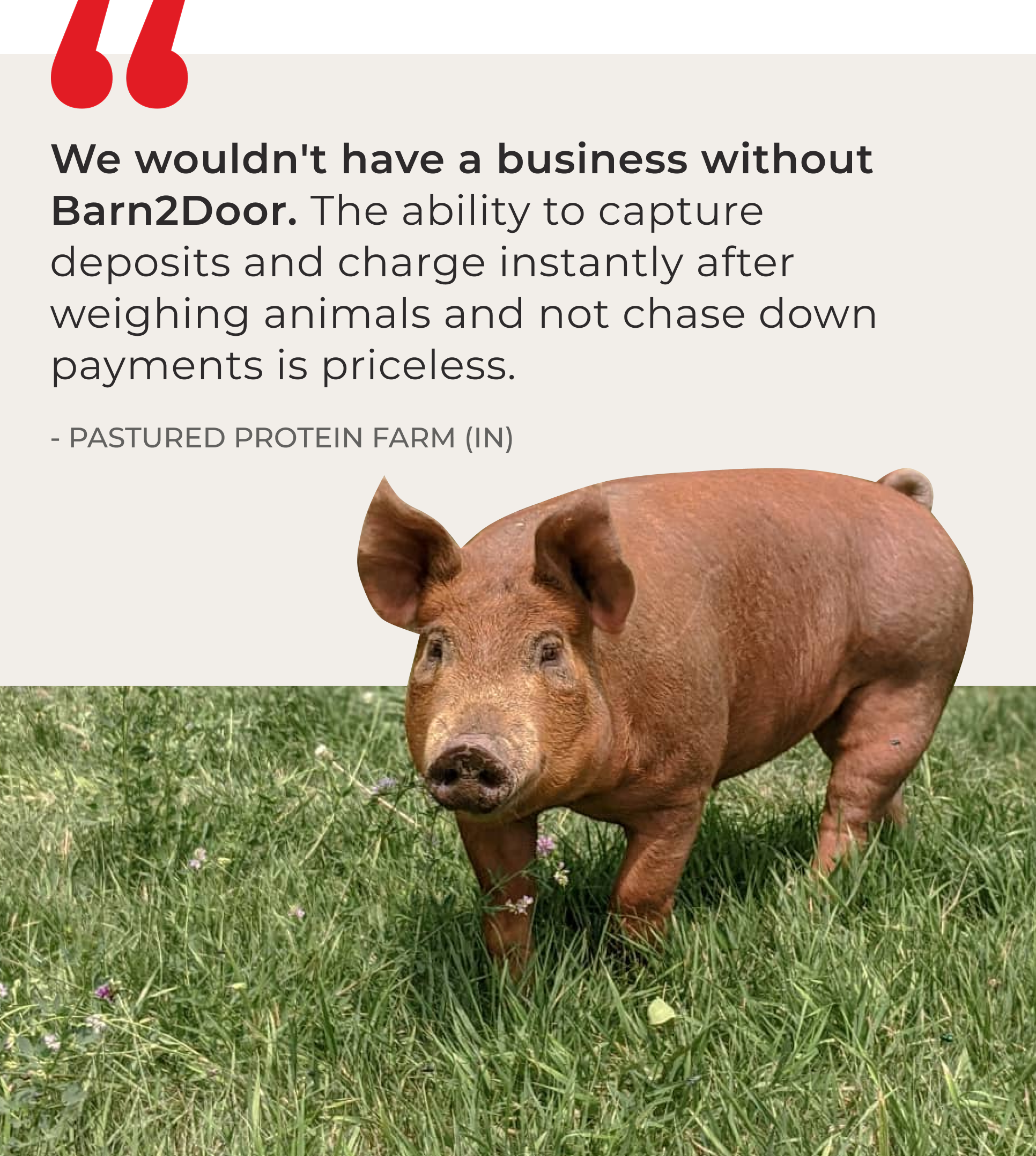 Customer testimonial from a Barn2Door farmer: ‘We wouldn't have a business without Barn2Door. The ability to capture deposits and charge instantly after weighing animals and not chase down payments is priceless.