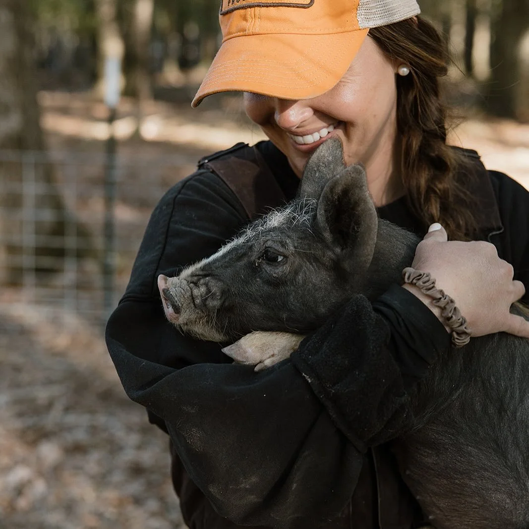 A smiling woman wearing an orange baseball cap lovingly hugging a small black piglet outdoors on a farm.