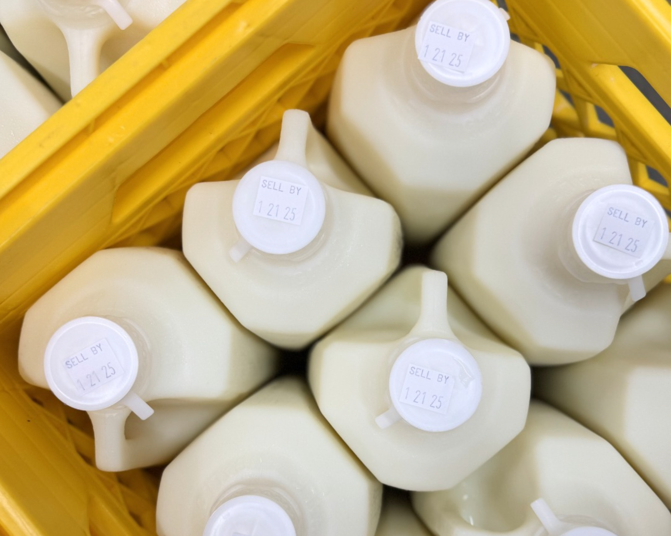 Yellow crate with jugs of farm fresh milk.