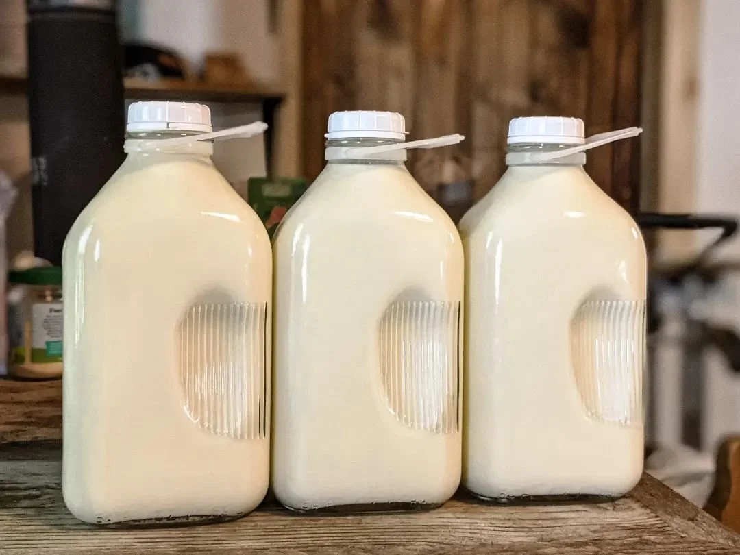 Three glass jugs filled with milk sitting on a rustic wooden surface.