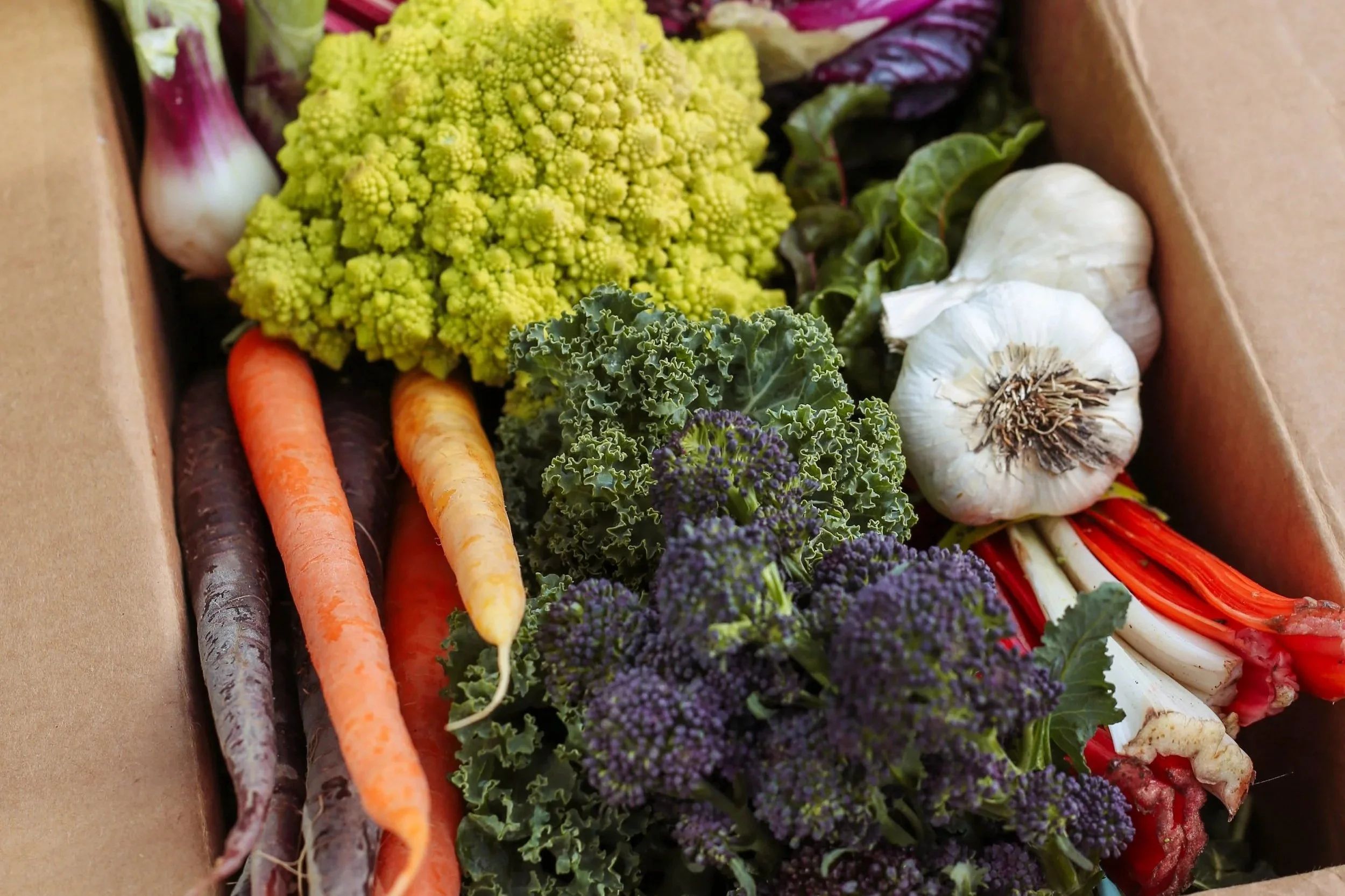 A box full of carrots, broccoli, garlic, and other produce.