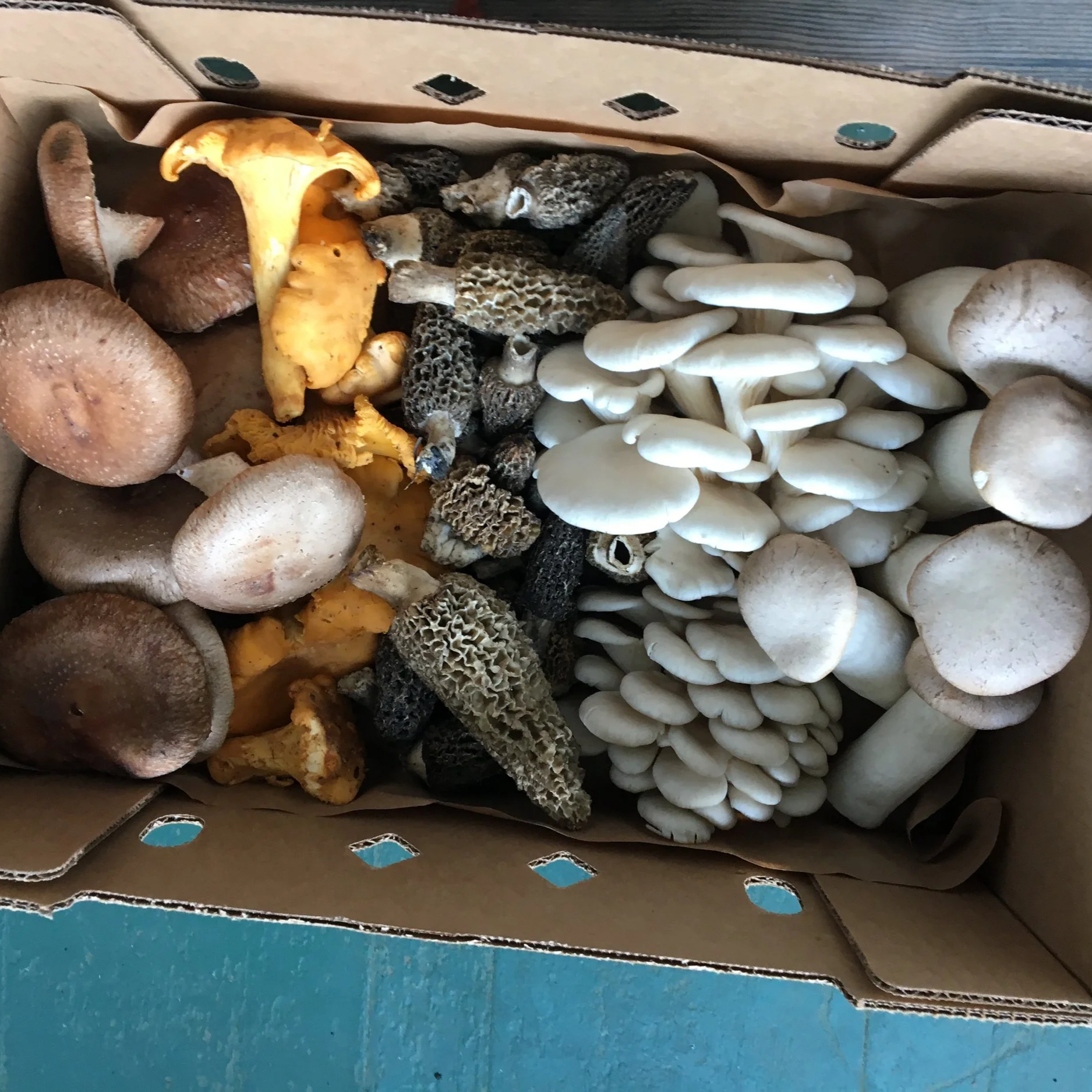 A box of assorted mixed mushrooms