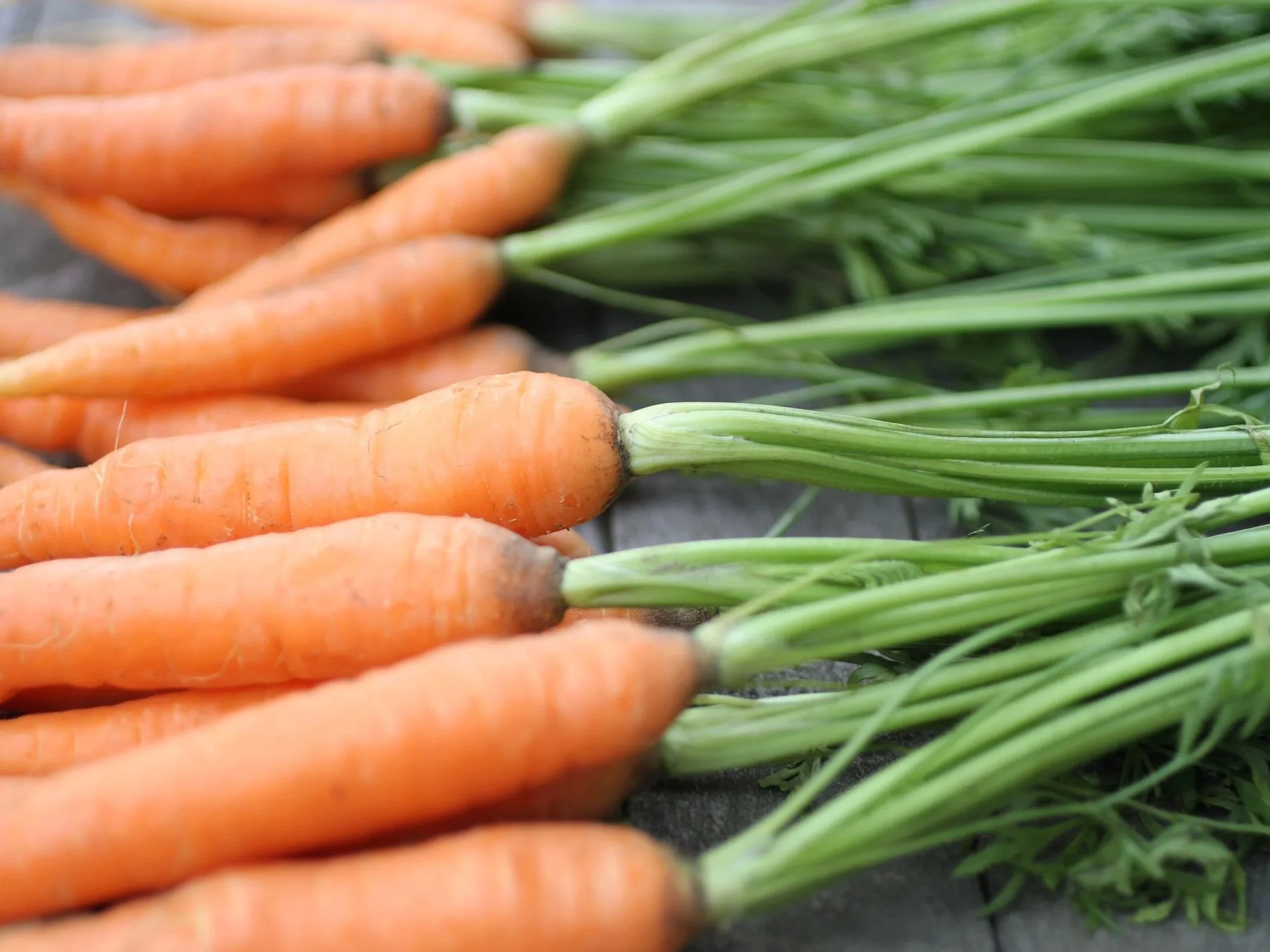 Close up of carrots with stems