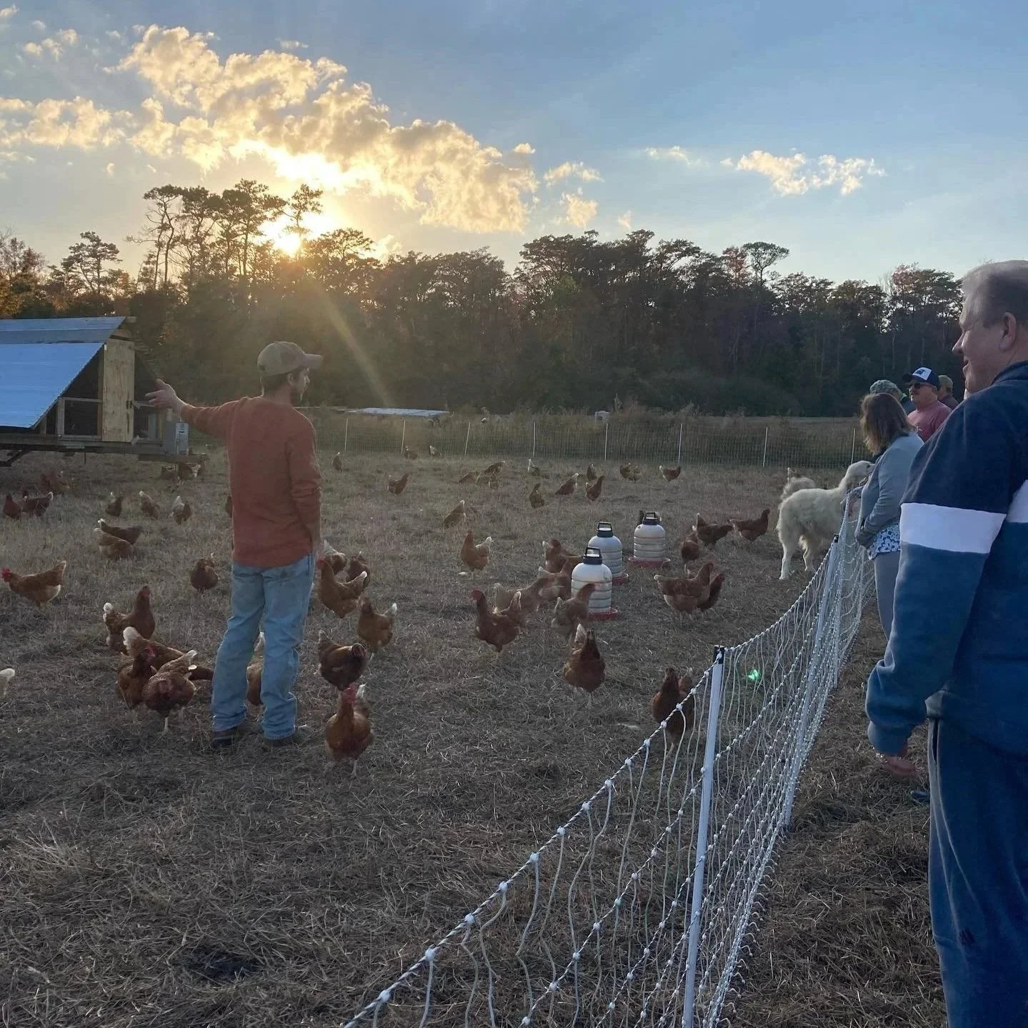 A local farmer giving a farm tour to customers