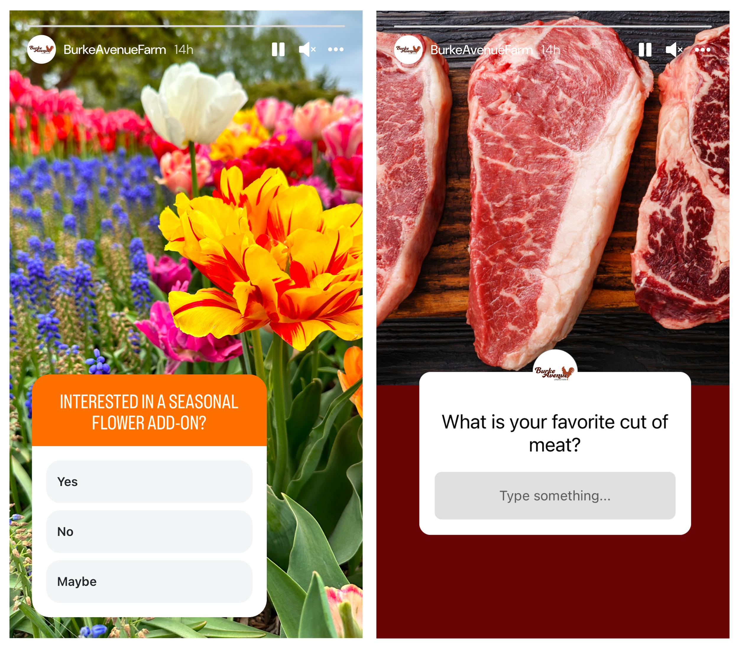 Two instagram stories showcasing the use of polls and questions