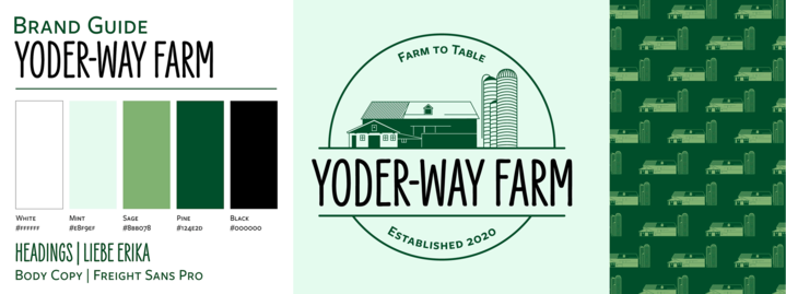 Brand guide for a professional logo