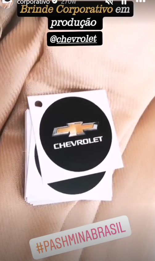 pashmina empresa corporativo