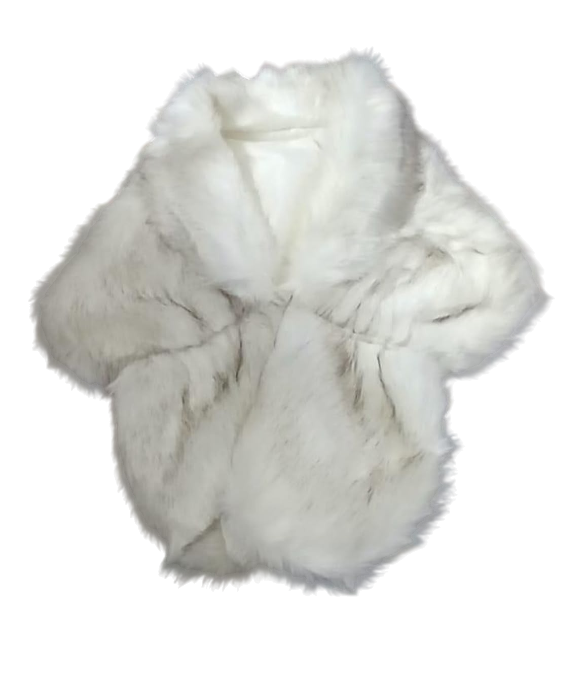 transparent-Photoroom (3).png