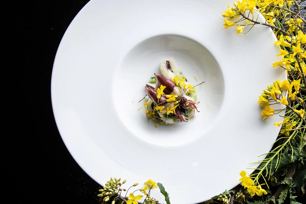 Baby Octopus Salad