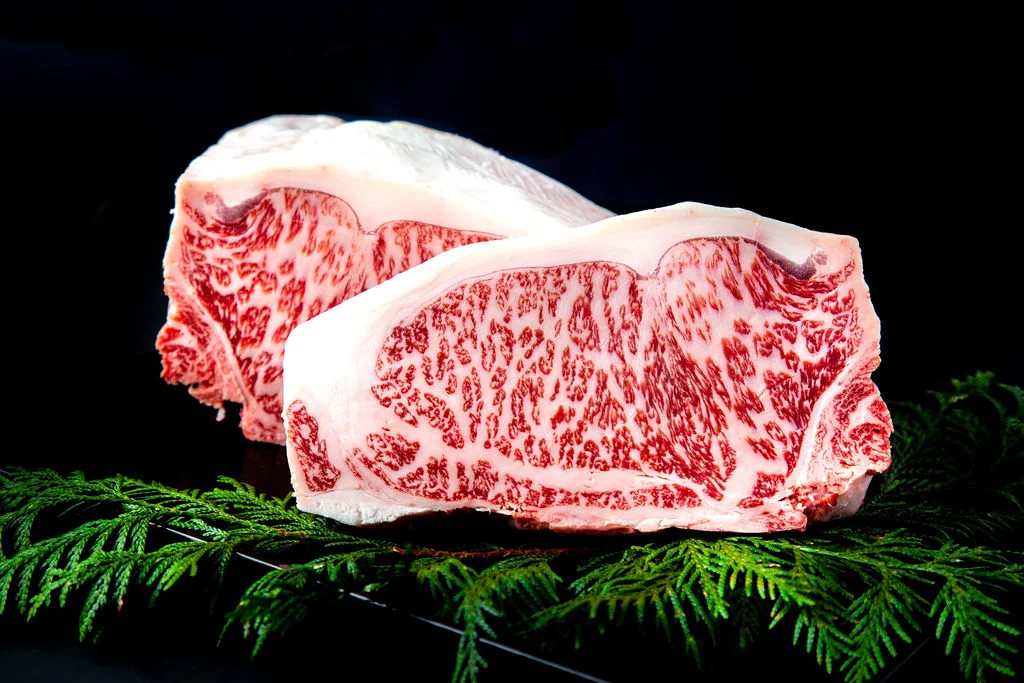 Hida gyu wagyu