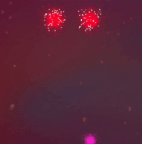 giphy.gif